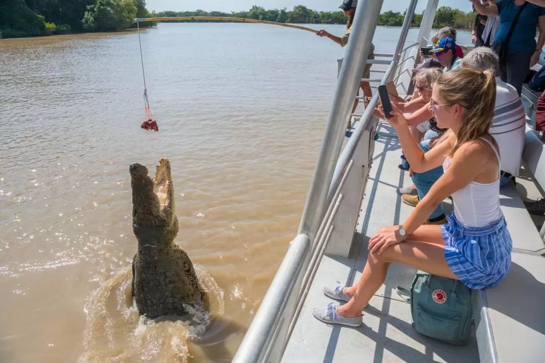 1-Hour Jumping Crocodile Cruise on the Adelaide River