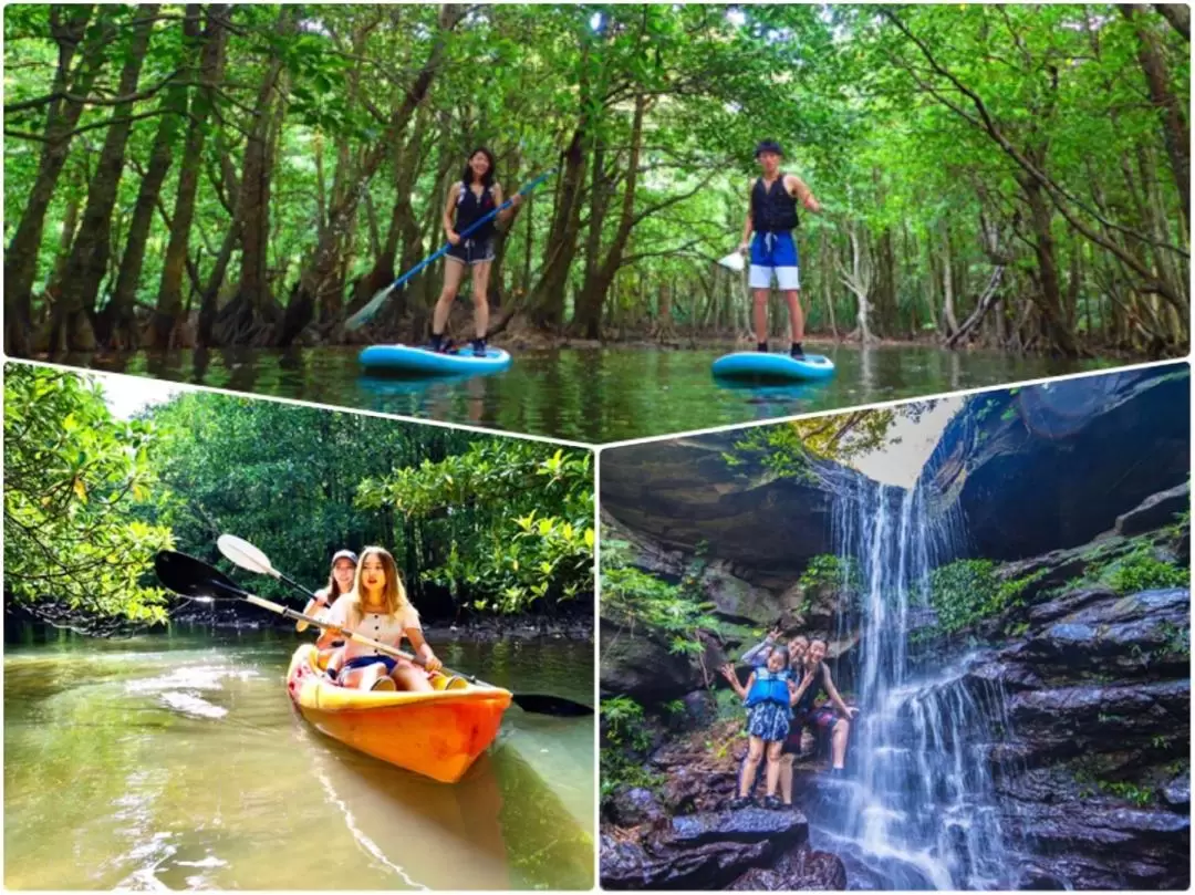 SUP or Canoe at Mangrove Forest