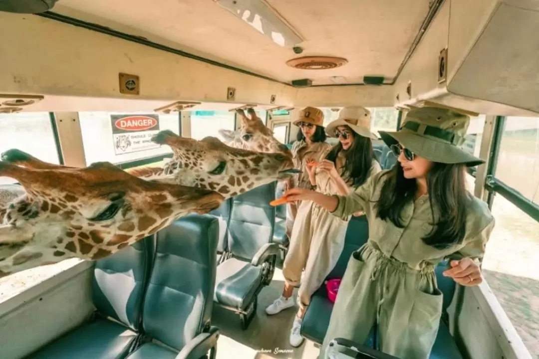 Kanchanaburi Safari Park and River Kwai Bridge Day Tour