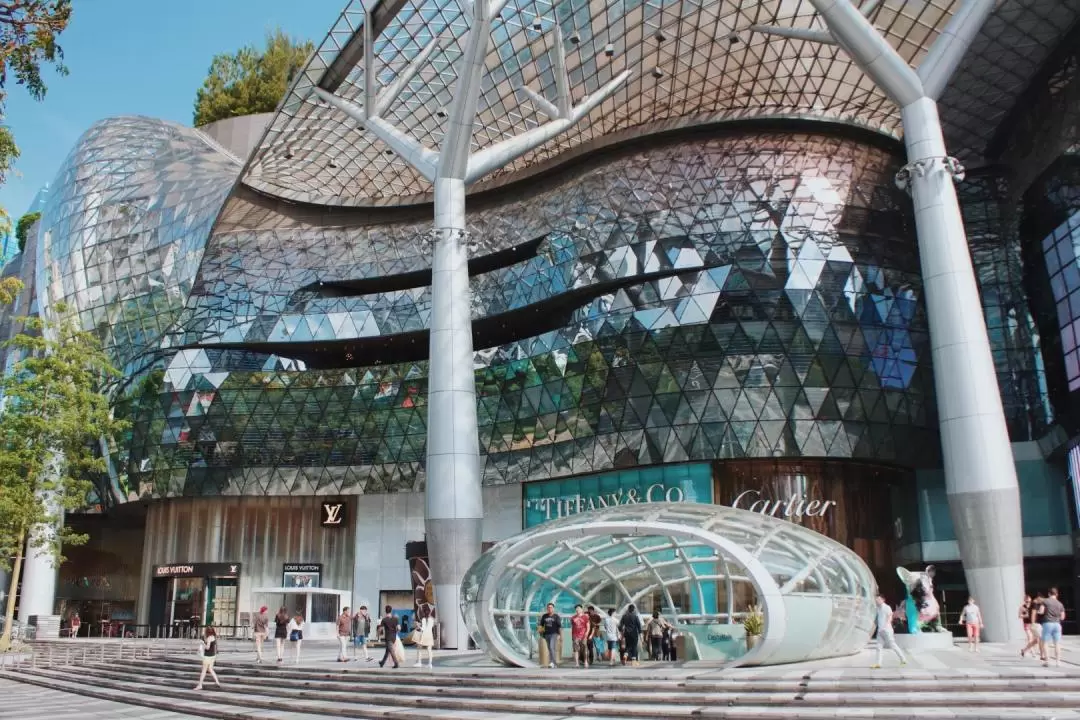 The Dragon's Tooth; A Battle of Buildings in Singapore