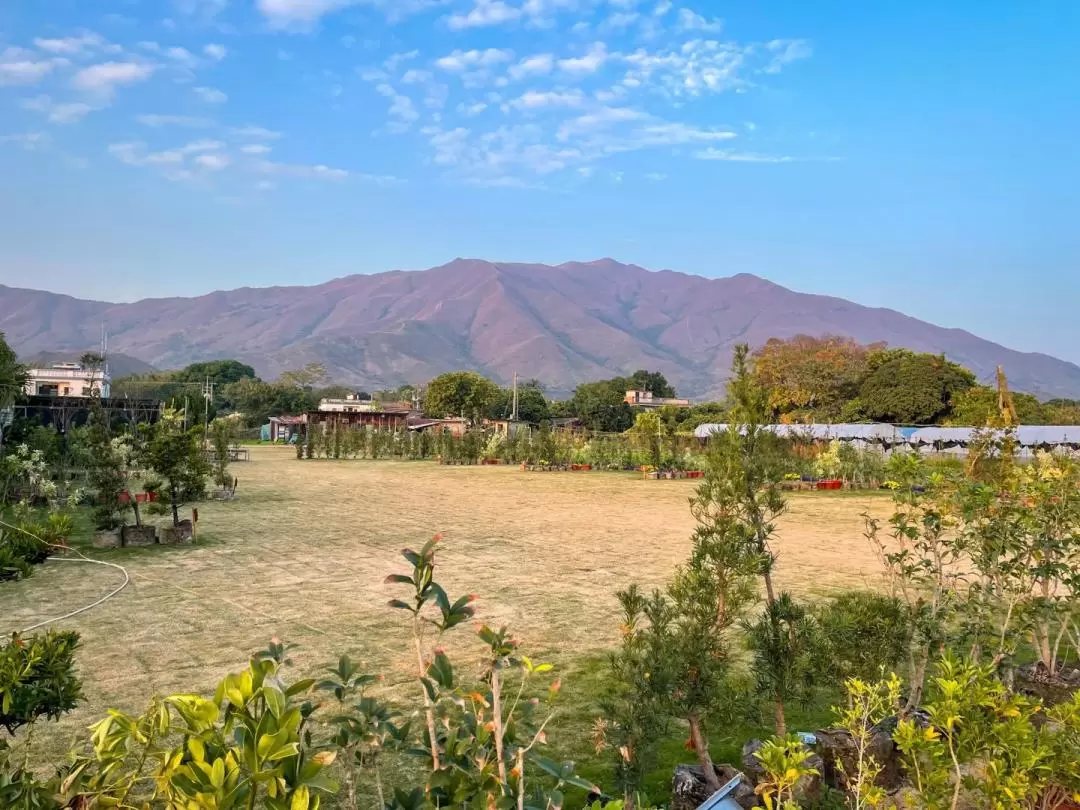 Autocamper 大江埔羅漢園 | 雞公嶺山脈全景 | 澳洲荒原式汽車營地