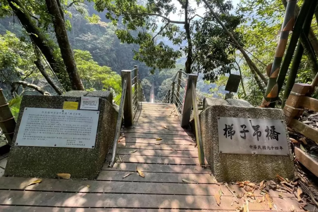 南投｜竹山文化園區・竹山天梯｜門票・套票