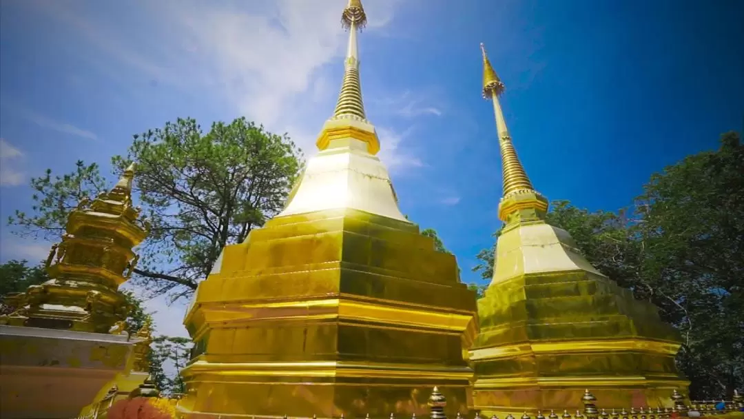 Wat Phra That Doi Tung and Doi Tung Royal Villa Half Day Tour from Chiang Rai