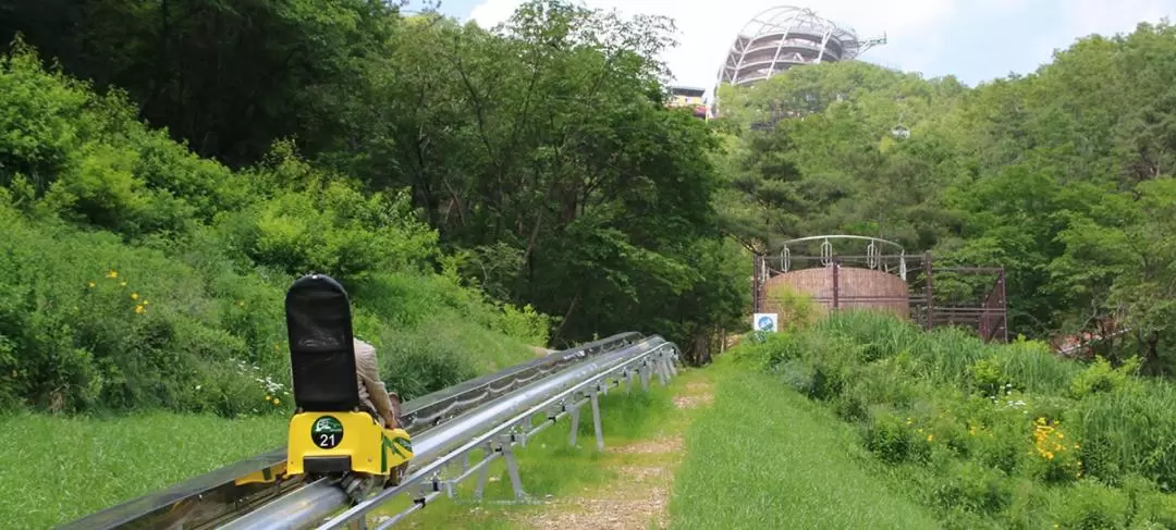 韩国丹阳滑翔伞体验 & 岛潭三峰游船 & Mancheonha Skywalk观景台一日游