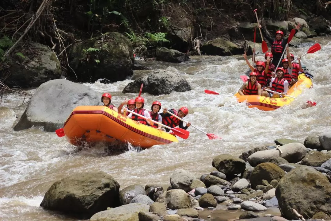 Ayung White Water Rafting