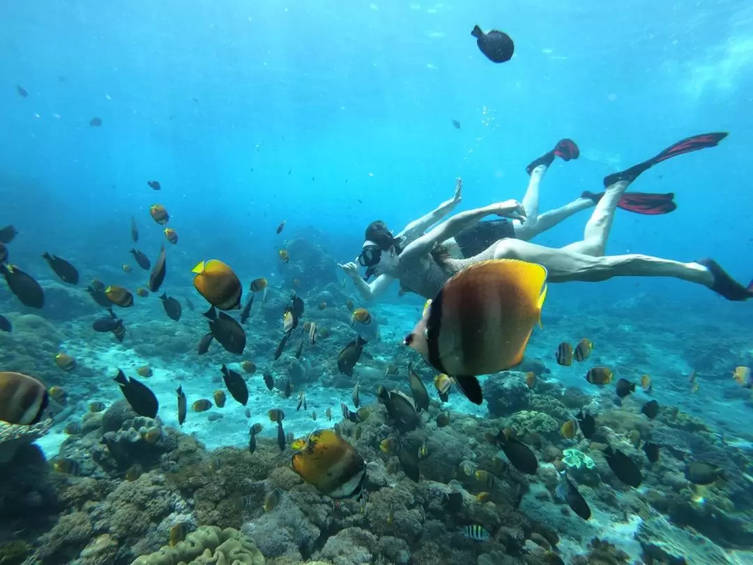 Four Spots Snorkelling Experience in Nusa Lembongan