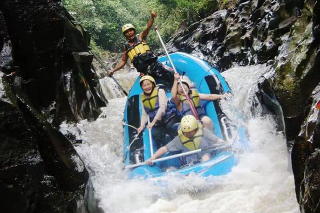 Melangit Rafting and Bali Famous Scenery Day Tour