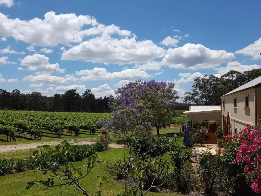 Tintilla Estate Wine Tasting in Hunter Valley