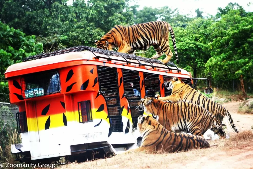 蘇比克野生動物園門票