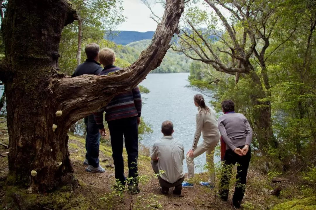 Te Anau Historic Cruise by Faith in Fiordland