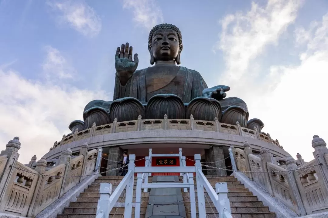 Ngong Ping 360 Tai O Pass (Include Bus and snack coupon)