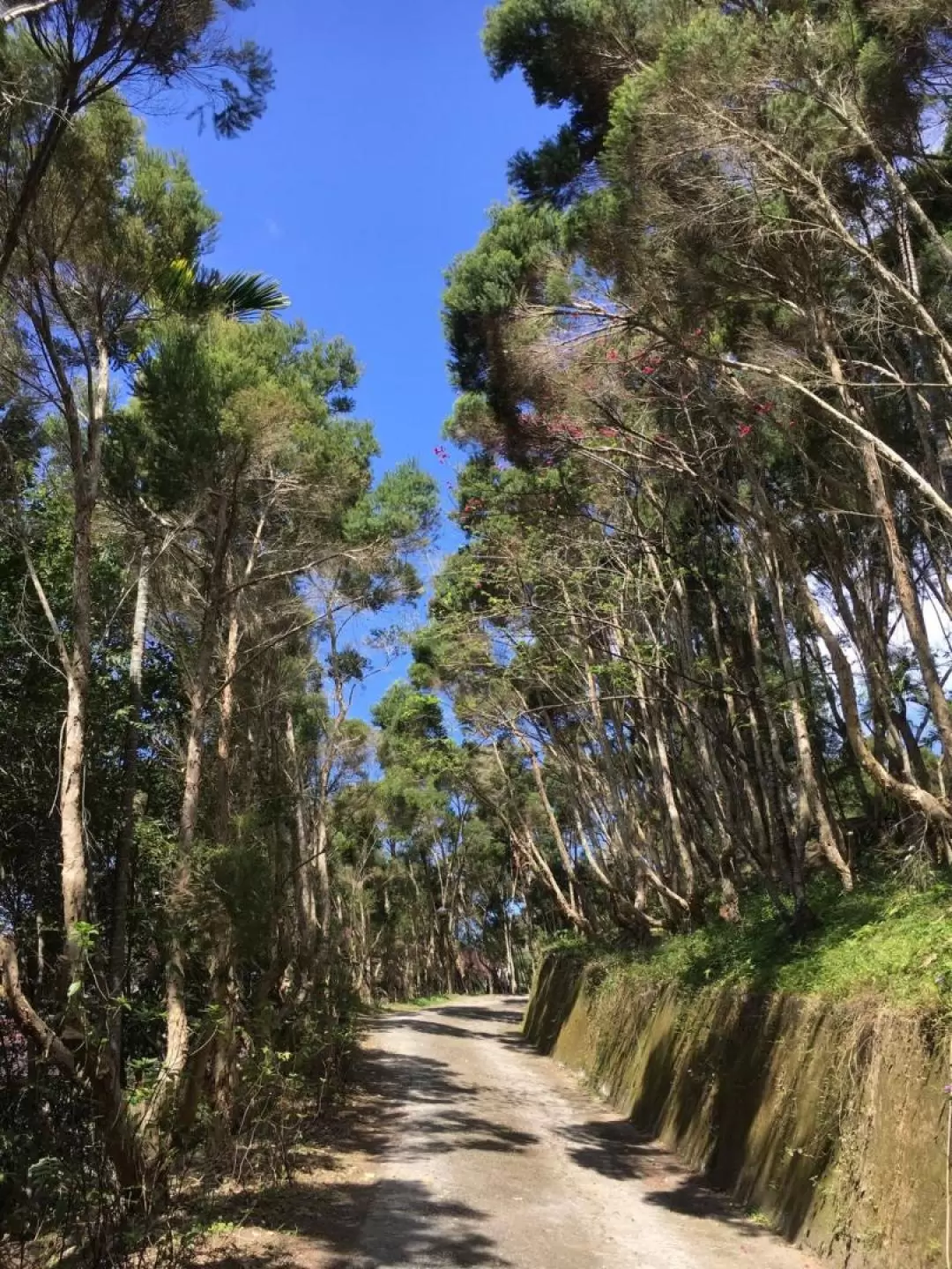 紐澳華温泉山荘 貸切風呂・温泉体験（花蓮）