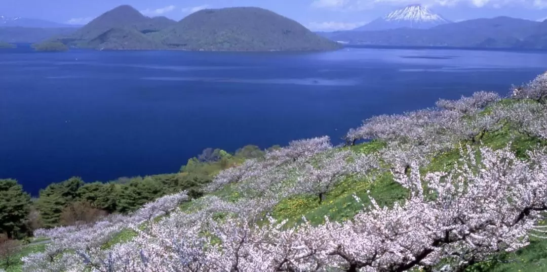 北海道私人包车游览一日游