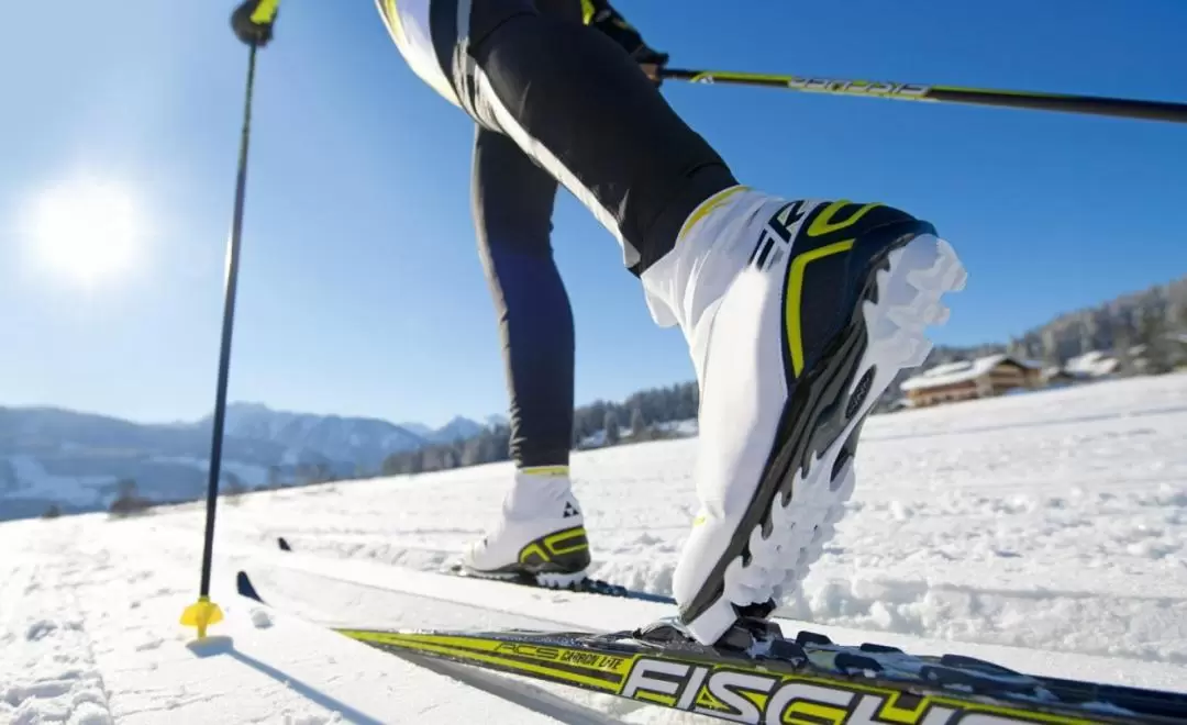 羅瓦涅米拉普蘭越野滑雪體驗