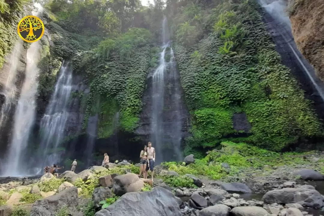 Sekumpul Waterfall and Gate of Heaven Private Trip in Bali with Lunch