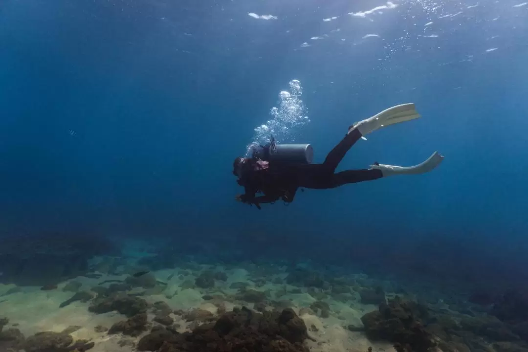 澎湖：稻荷潛水中心 - 體驗潛水／導潛／潛水考證／浮潛