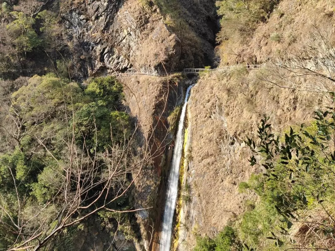 南投｜八通關古道＆特富野古道登山2天1夜體驗