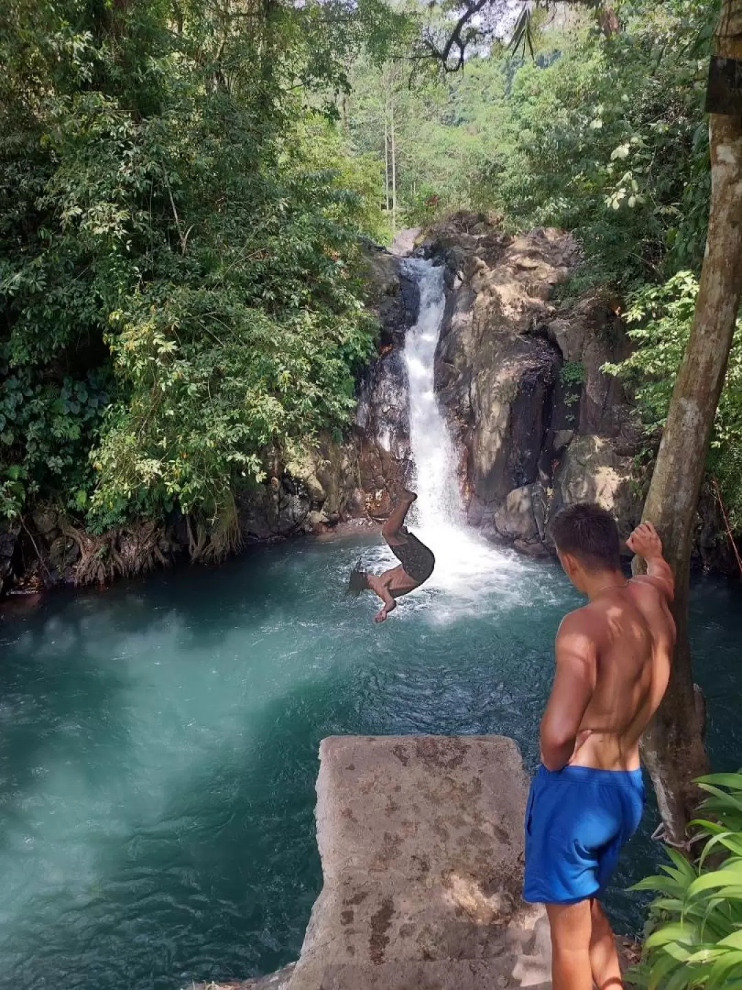 Sambangan Waterfalls with Wanagiri Swing Day Trip