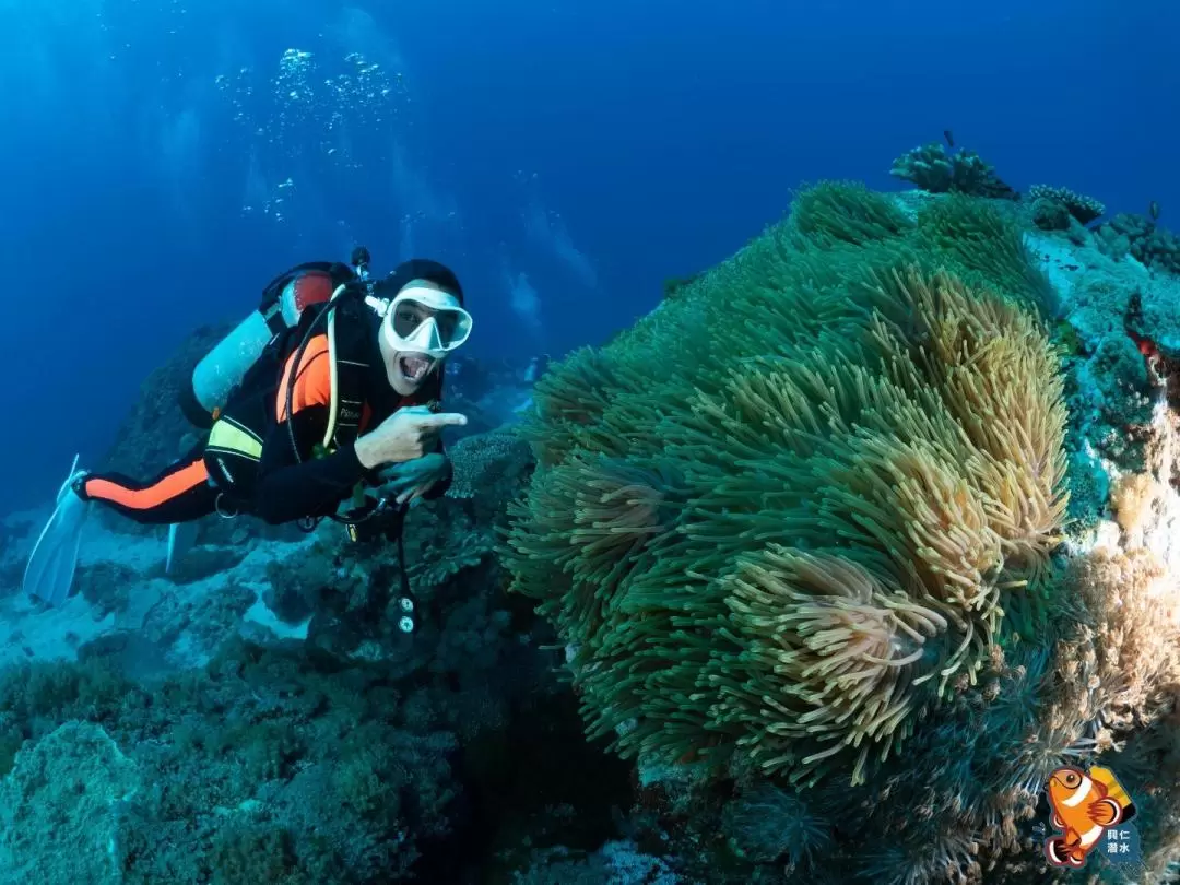 澎湖潛水: 興仁潛水 Fun Dive 休閒潛水・PADI潛水員課程