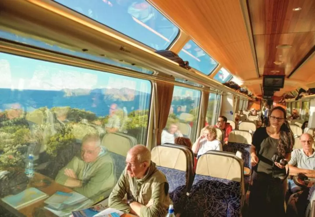 Northern Explorer Train Ticket between Auckland and Wellington