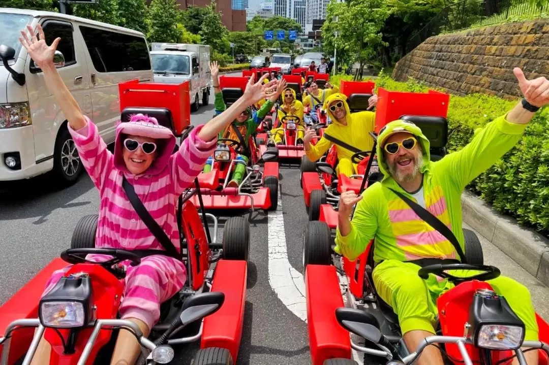 Street Go-Kart Experience in Tokyo Bay by the Original Street Kart