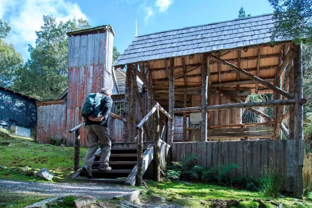 Cradle Mountain National Park Day Tour from Launceston