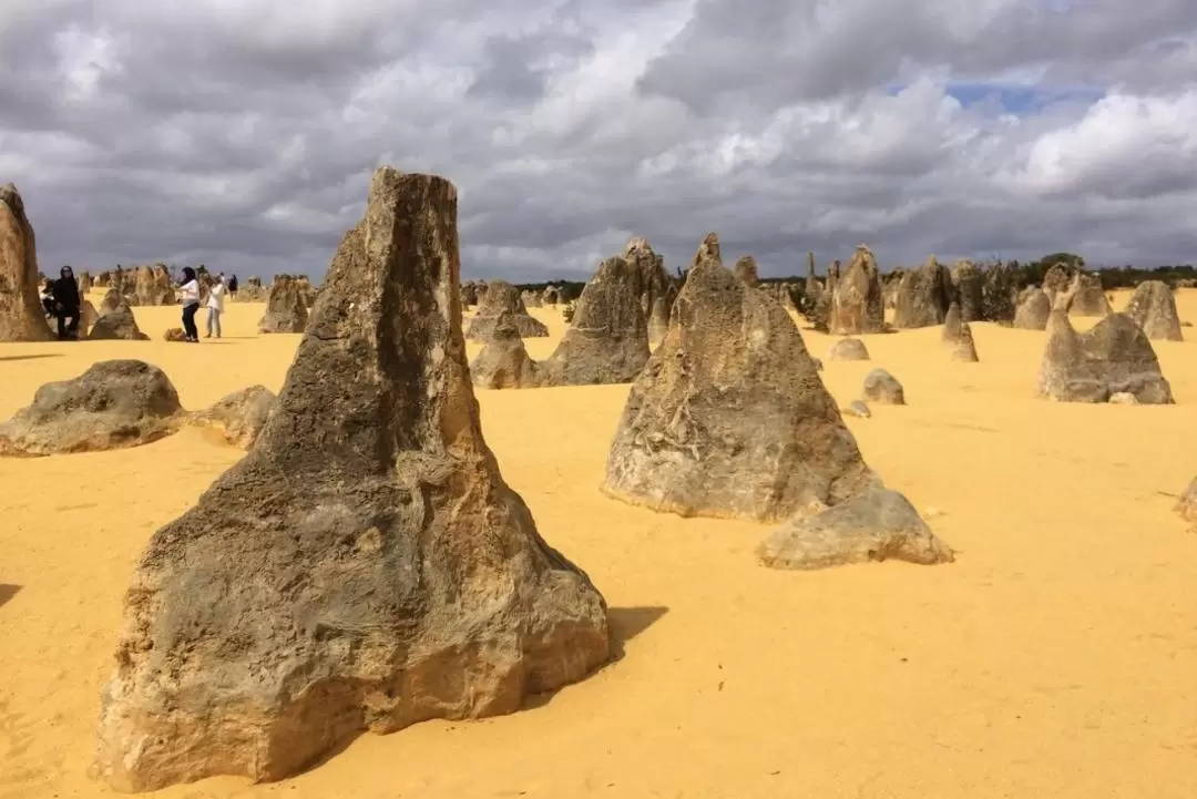 Pink Lake 3D2N Tour with Chinese Speaking Guide