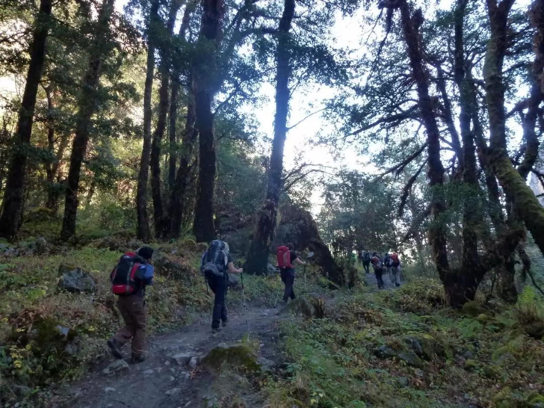 蓝塘谷7天6夜登山健行之旅（加德满都出发）