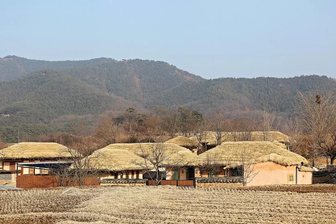 Andong UNESCO Heritage Full Day Tour from Seoul