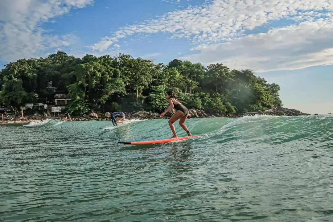 Whale Surf School Phuket에서 서핑하기