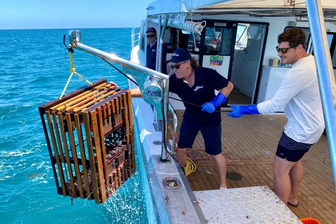 Rottnest Island Luxe Seafood Cruise