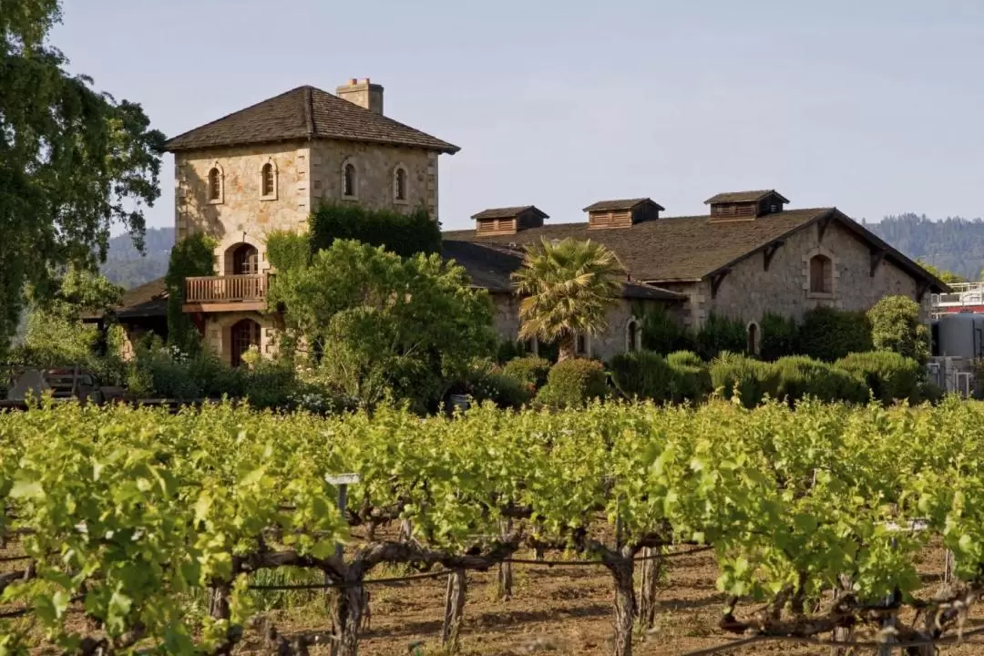 Napa Valley and Sonoma Full Day Wine Tour from San Francisco