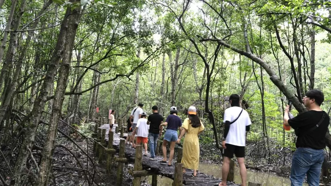 Explore Monkey Island - Can Gio Biosphere Reserve Day Tour