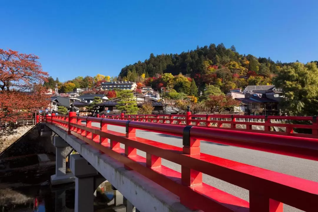 Takayama Hida Folk Village Walking Tour