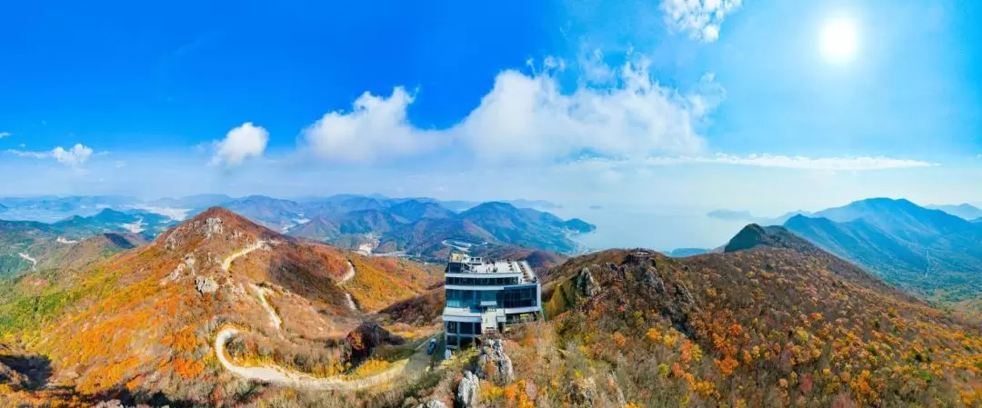 大江户植物園 & 巨濟全景纜車 & 海金剛 & 風之丘一日遊