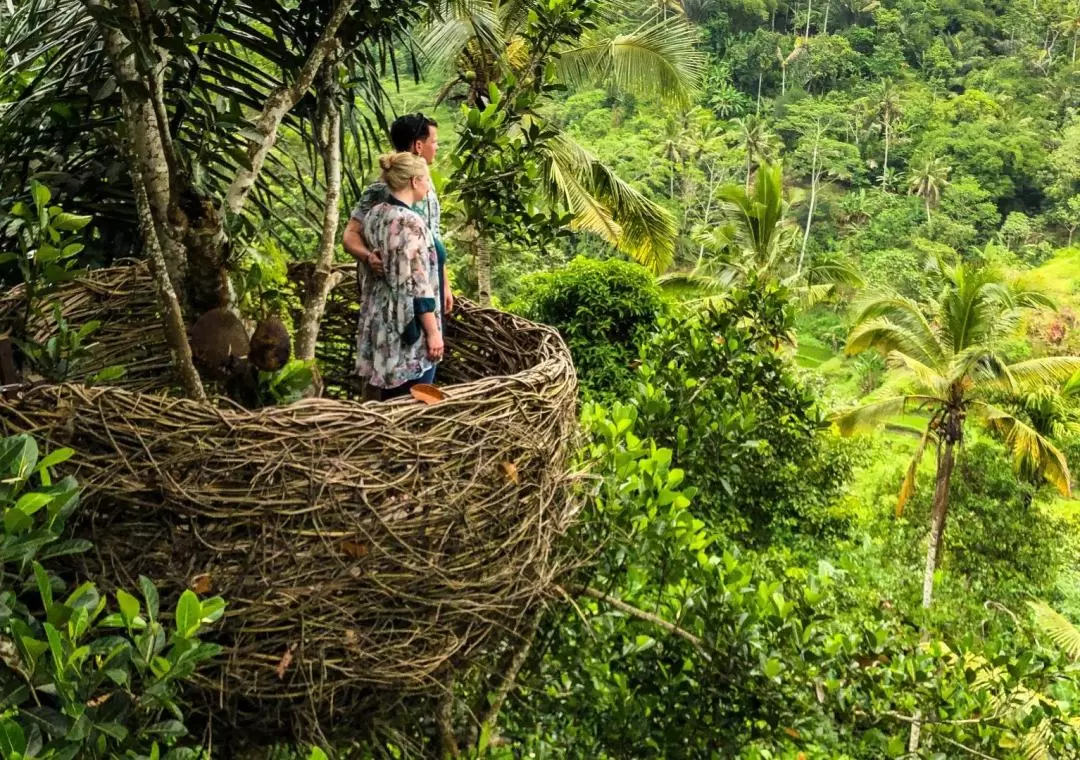 Ubud All-Inclusive Private Day Tour