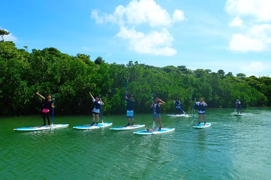 Ishigaki Island Private Activity (Shuttle service within the whole island)