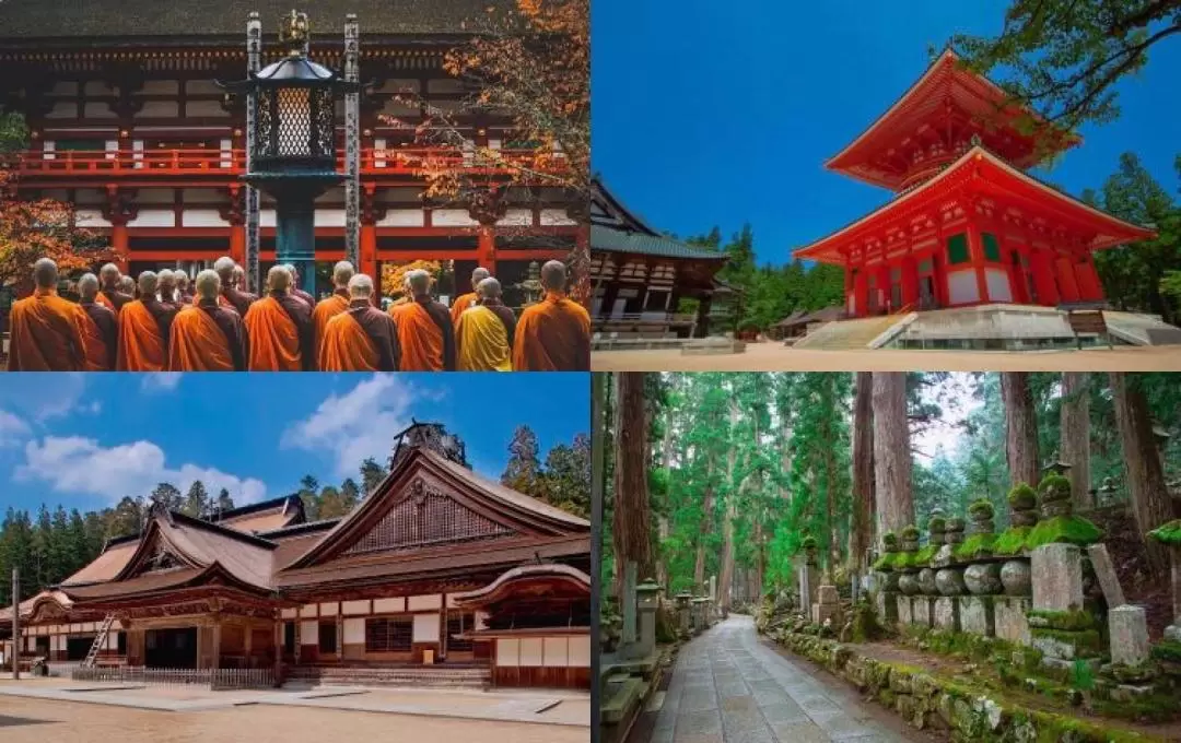 世界遺產“高野山”一日巴士遊（大阪出發）