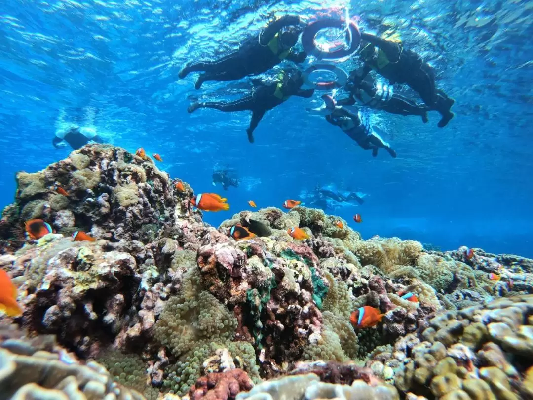 台東：蘭嶼海洋浮潛體驗（附免費攝影）