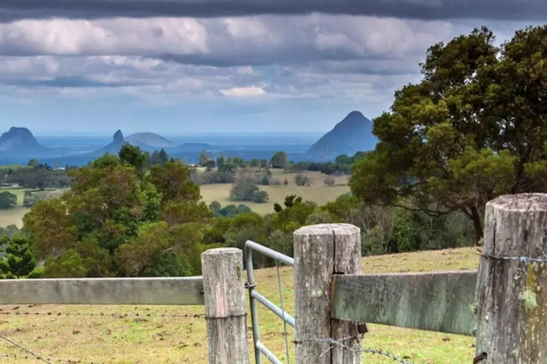 Country Drive Experience in Sunshine Coast Hinterland