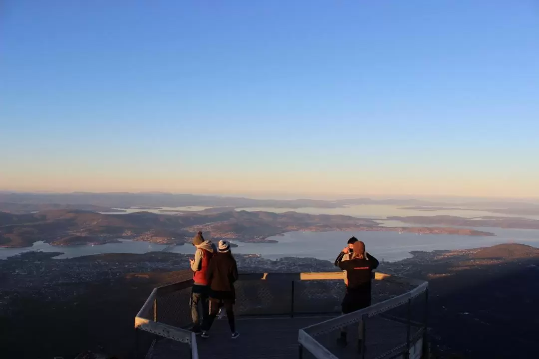 Mt Field, Wildlife, and Mt Wellington Day Tour from Hobart