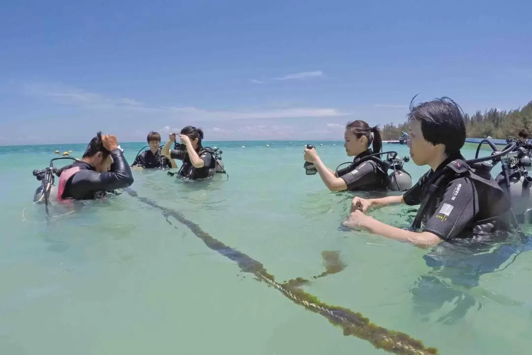 Dreamer Island Diving or Snorkeling Experience in Kota Kinabalu