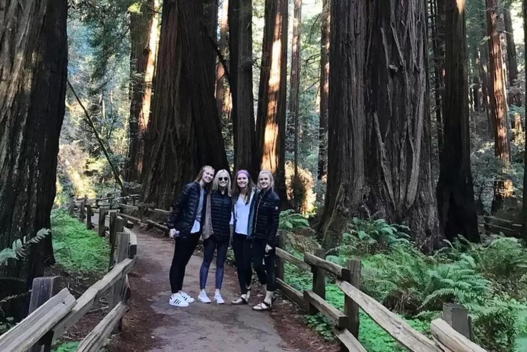 Explore Giant Redwoods & San Francisco Full Day Private tour