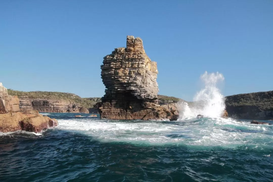 Jervis Bay Passage Sightseeing Cruise 