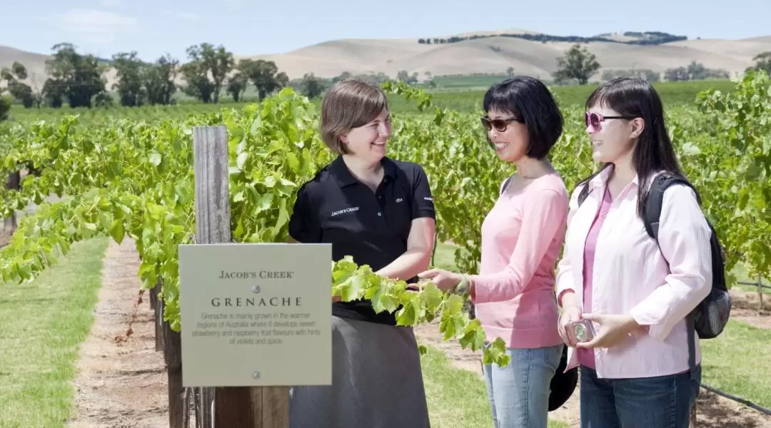 Barossa Valley and Hahndorf Highlights Tour from Adelaide