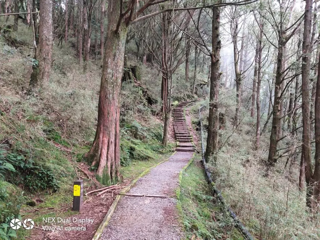 2D1N Mount Daito and Batongguan Historic Trail Tour in Chiayi