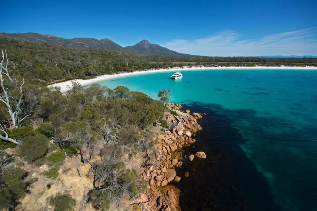 Coles Bay to Wineglass Bay Sightseeing Cruise