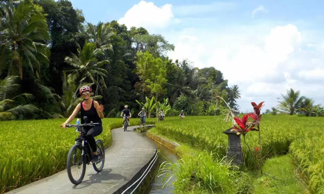 Electric Bicycle Tour in Bali