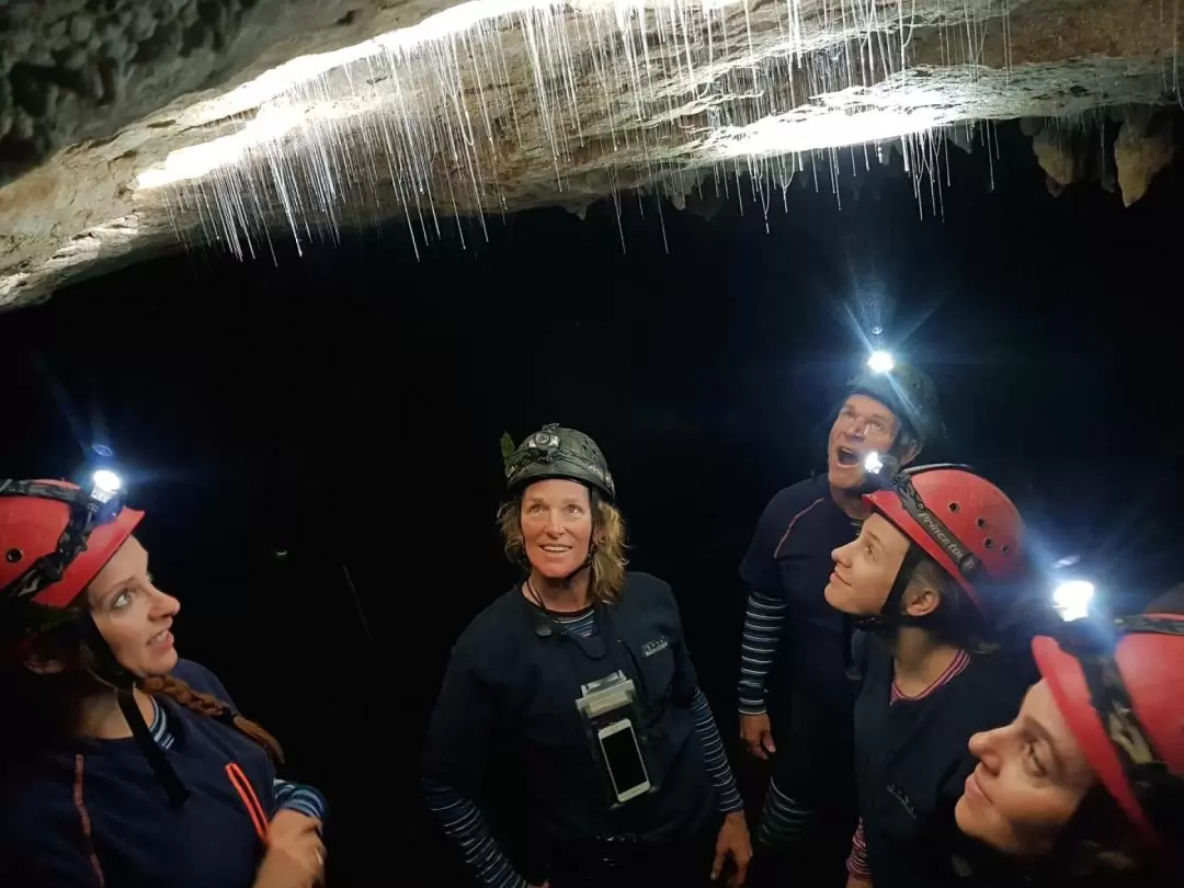 Glowworm Cave Private Tour with Guide from Waitomo