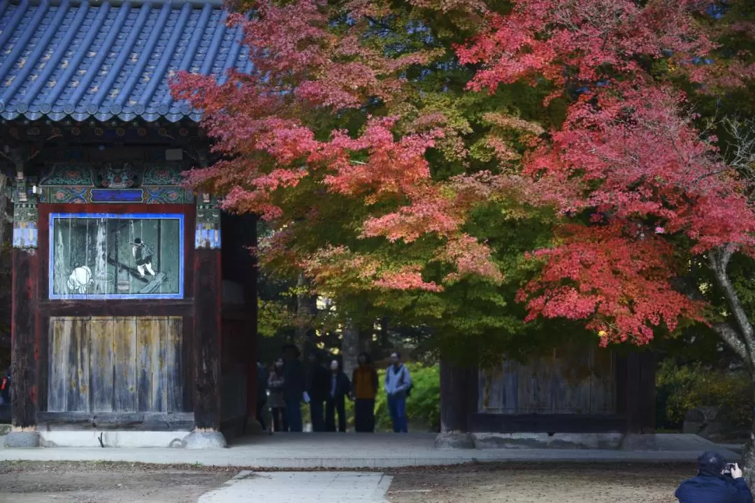 五臺山國立公園賞楓一日遊（首爾出發）